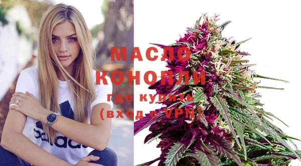 соль ск Кукмор