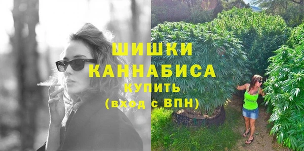 соль ск Кукмор