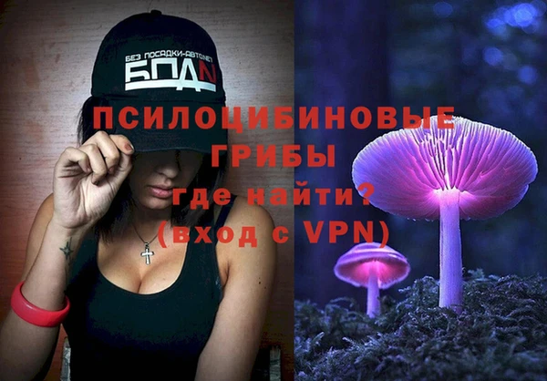 соль ск Кукмор