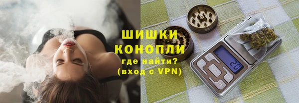 соль ск Кукмор