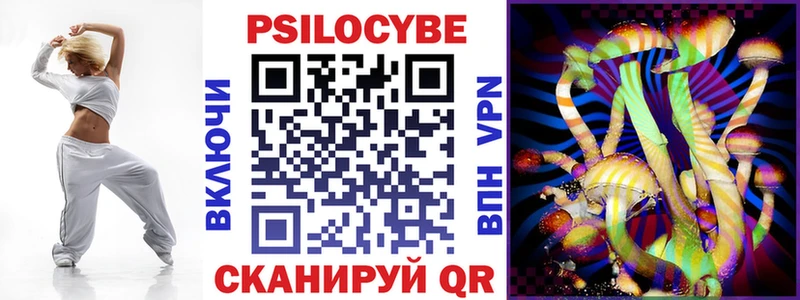blacksprut зеркало  Кукмор  Галлюциногенные грибы Cubensis  как найти наркотики 